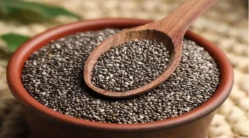 تفاصيل الشروط والمستندات لإصدار رخصة تداول البذور 2025